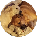 Philippe Garnier profile picture